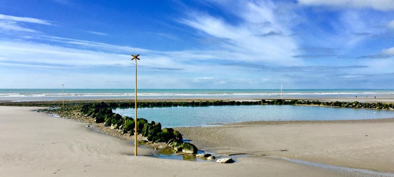 Joli Studio Proche Plage Et Centre Avec Parking ヴィムルー エクステリア 写真